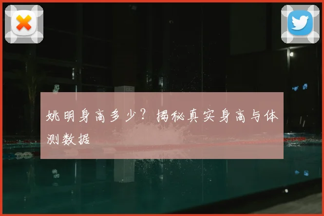姚明身高多少？揭秘真实身高与体测数据