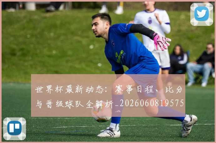 世界杯最新动态：赛事日程、比分与晋级球队全解析_20260608195758_20260703203210
